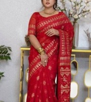 Red Golden Party Wear Saree